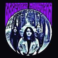Electric Mountain - Electric Mountain album cover