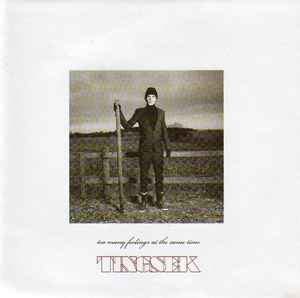 Tingsek - Too Many Feelings At The Same Time album cover