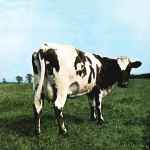 Pink Floyd – Atom Heart Mother (2016, 180 Gram, Gatefold, Vinyl