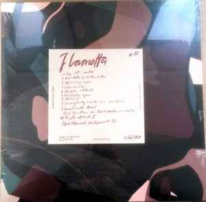 低価爆買い150枚限定盤　Conscious tree J.LAMOTTA SUZUME 洋楽