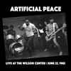 Artificial Peace - Live At The Wilson Center | June 25, 1982
