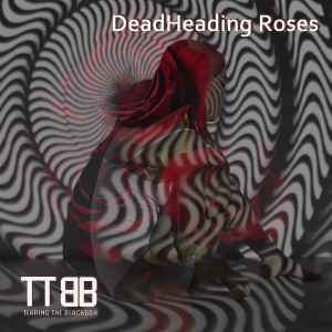 Tearing The Blackbox - DeadHeading Roses album cover