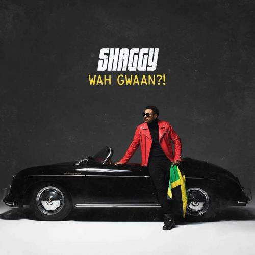 last ned album Shaggy - Wah Gwaan
