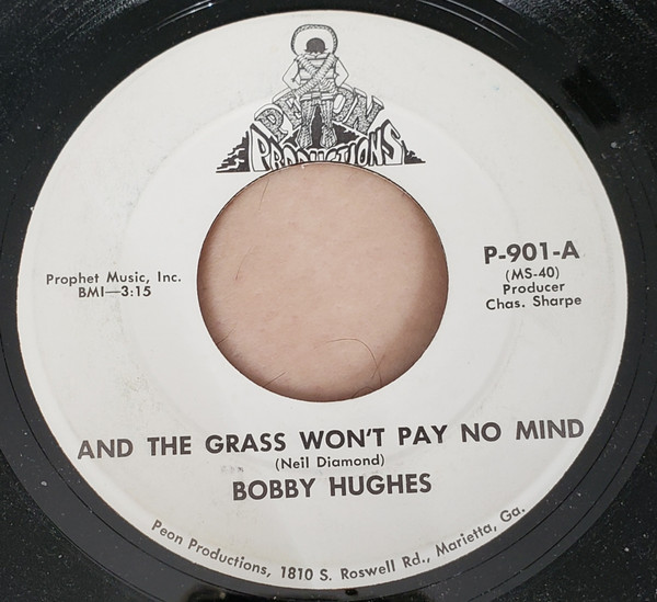 descargar álbum Bobby Hughes - And The Grass Wont Pay No Mind