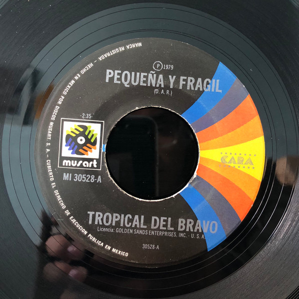Tropical Del Bravo – Pequeña Y Fragil (1979, Vinyl) - Discogs