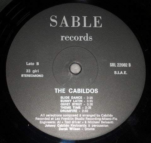 baixar álbum The Cabildos - Where Is The Cat