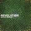 Michael Harrison - Revelation