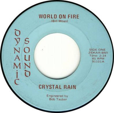 last ned album Crystal Rain - World On Fire