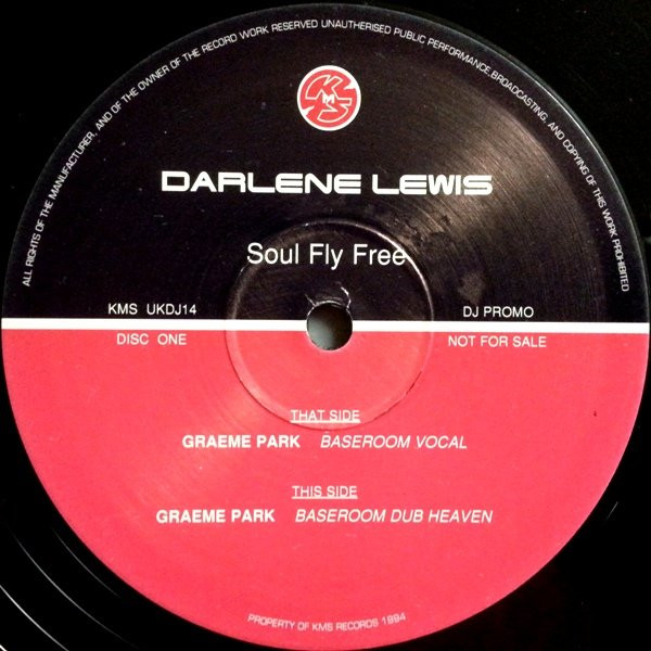 baixar álbum Darlene Lewis - Soul Fly Free