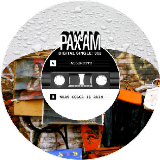 Album herunterladen Ryan Adams - Allumette What Color Is Rain