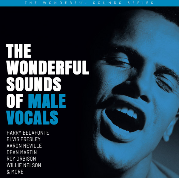 The Wonderful Sounds Of Male Vocals (2020, 200 g, Vinyl) - Discogs