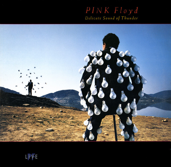 Pink Floyd  Pink Floyd - Delicate Sound Of Thunder - (CD) Rock & Pop CDs -  MediaMarkt