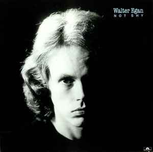 Walter Egan - Not Shy album cover