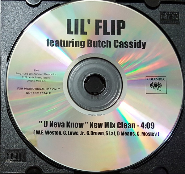 Lil' Flip – Sunshine / We Ain't Playin (2004, Vinyl) - Discogs