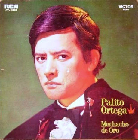 Palito Ortega - Muchacho De Oro | Releases | Discogs