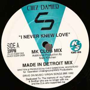 Chez Damier - I Never Knew Love album cover