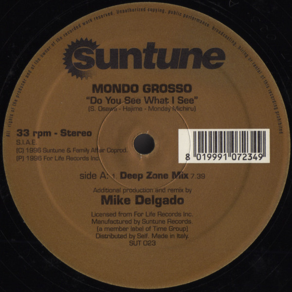 Mondo Grosso – Do You See What I See (1996, Vinyl) - Discogs