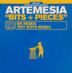 Bits + Pieces - Artemesia
