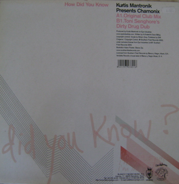 descargar álbum Kurtis Mantronik Presents Chamonix - How Did You Know