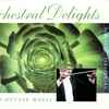 Orchestral Delights - Instrumental Magic  album cover