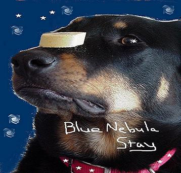 last ned album Blue Nebula - Stay