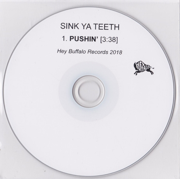 descargar álbum Sink Ya Teeth - Pushin