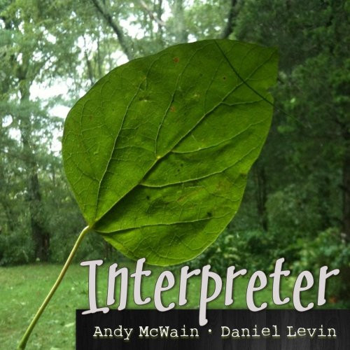 baixar álbum Andy McWain Daniel Levin - Interpreter