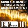 Nicola Albanese & Erez Jinno - Analog Ambient
