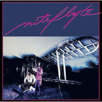 niteflyte『niteflyte Ⅱ』LPレコード - レコード