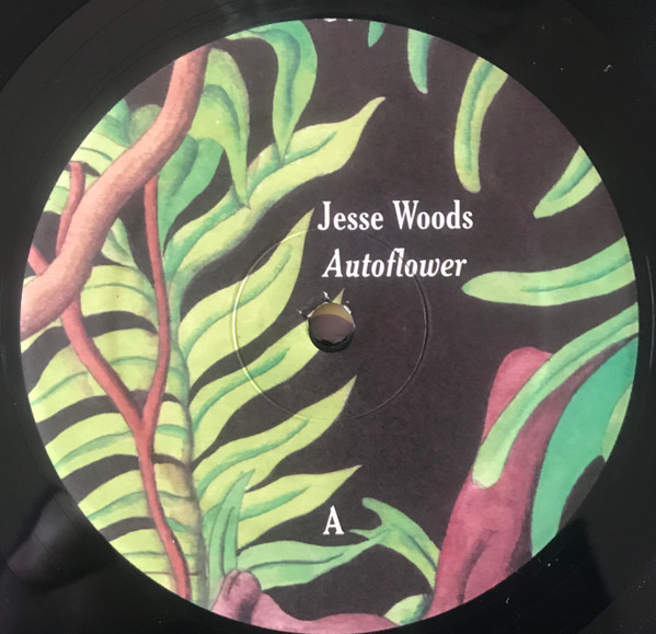 baixar álbum Jesse Woods - Autoflower