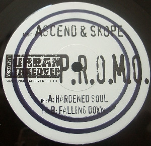 télécharger l'album Ascend & Skope - Hardened Soul Falling Down