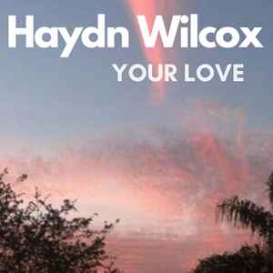 Haydn Wilcox - Your Love album cover