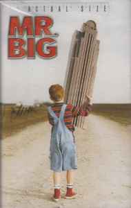 Mr. Big – Actual Size (2001, Cassette) - Discogs