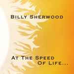 Cover of At The Speed Of Life..., , CD