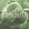S/T / The Grand Erector - Irreguläre Palpitationen - S/T Remixes By The Grand Erector
