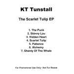 Cover of The Scarlet Tulip EP, 2011-05-00, CDr