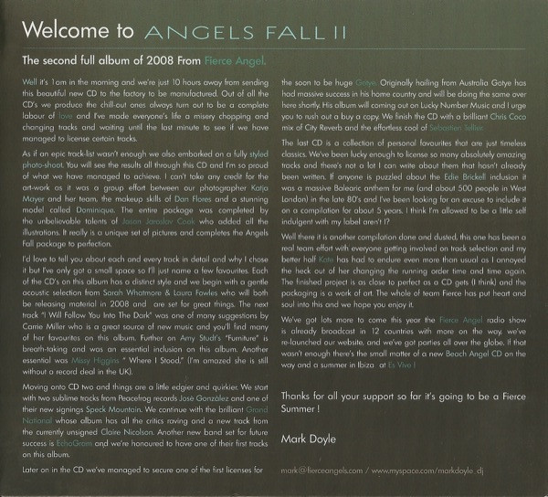 descargar álbum Various - Angels Fall II
