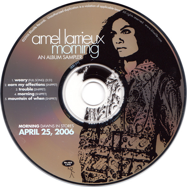 lataa albumi Amel Larrieux - Morning An Album Sampler