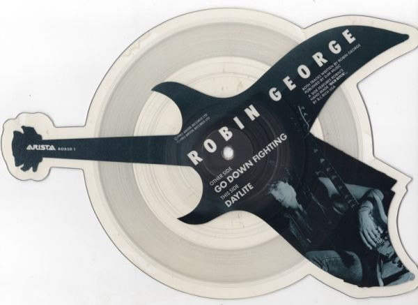 télécharger l'album Robin George - Go Down Fighting