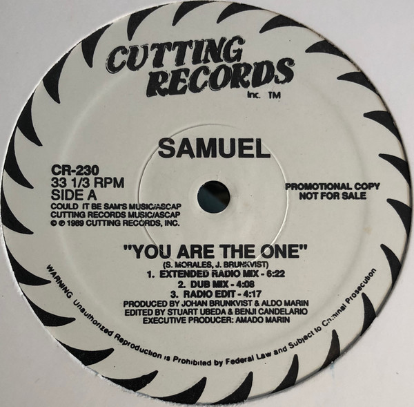 lataa albumi Samuel - You Are The One