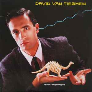 These Things Happen - David Van Tieghem