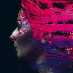 Cover of Hand. Cannot. Erase., 2015, CD