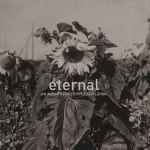 Cover of Eternal, 2016-10-03, Vinyl