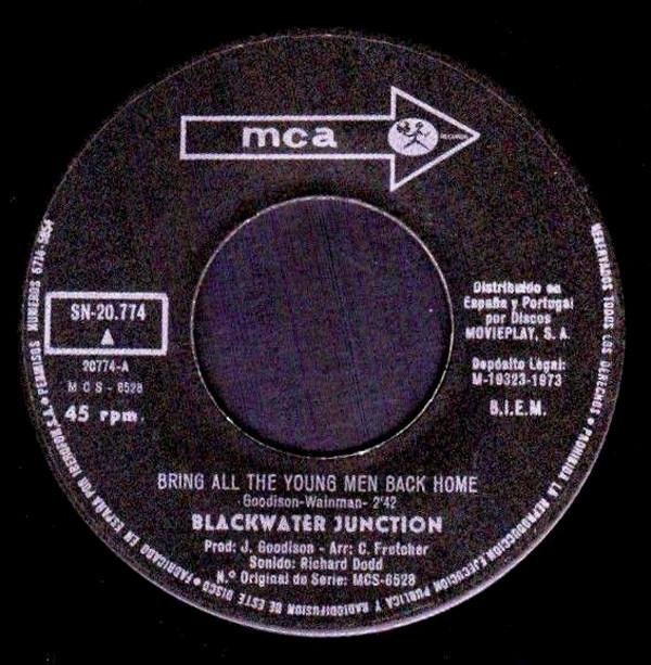 télécharger l'album Blackwater Junction - Bring All The Young Men Back Home