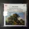 Silke-Thora Matthies / Christian Köhn - Johannes Brahms - Johannes Brahms: Four Hand Piano Music Vol. 6 - Symphony No. 1 / Triumphlied