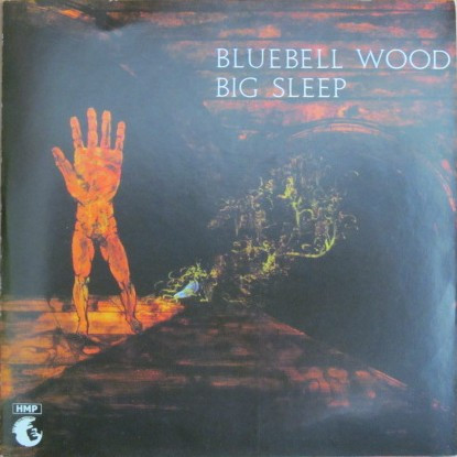 Big Sleep – Bluebell Wood (2007, CD) - Discogs