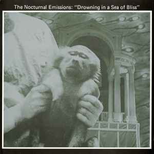 Drowning In A Sea Of Bliss (Anthems Of The Meat Generation) - The Nocturnal Emissions