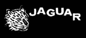 Jaguar on Discogs