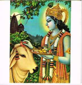 The Radha Krsna Temple - Govinda album cover