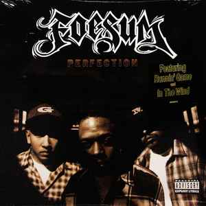 Foesum – Perfection (1996, Vinyl) - Discogs